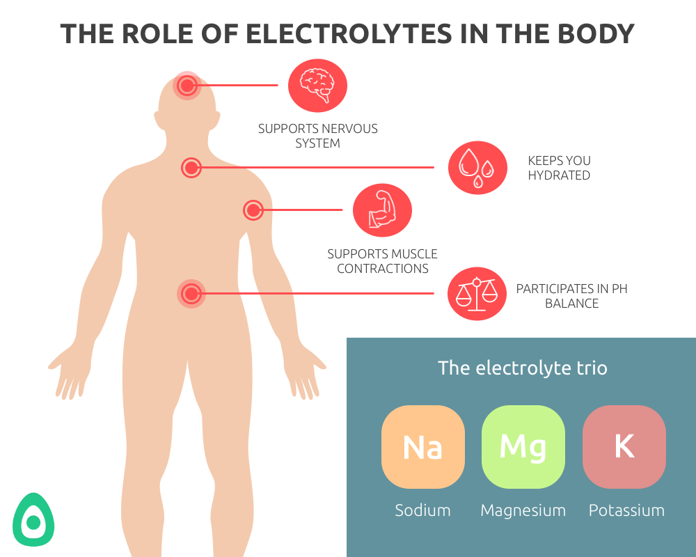 Electrolytes and muscle function