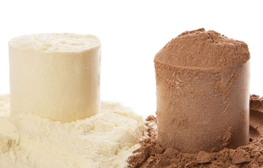 Whey protein isolate vs regular protein